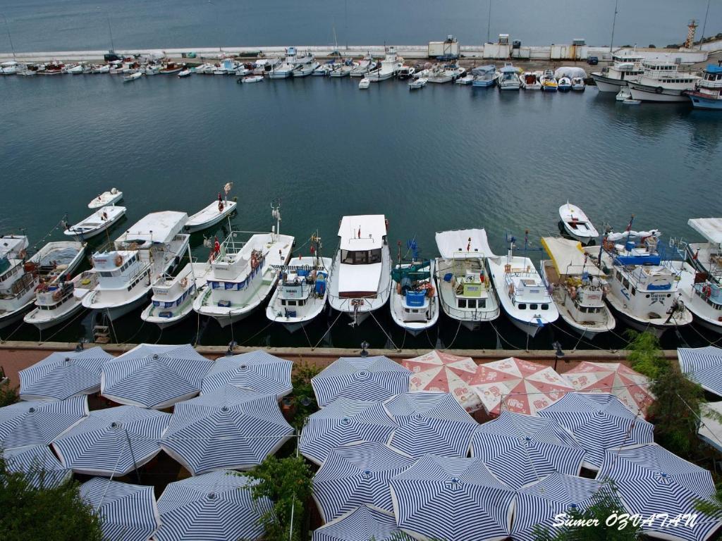 Sinop Mola Hotel Εξωτερικό φωτογραφία